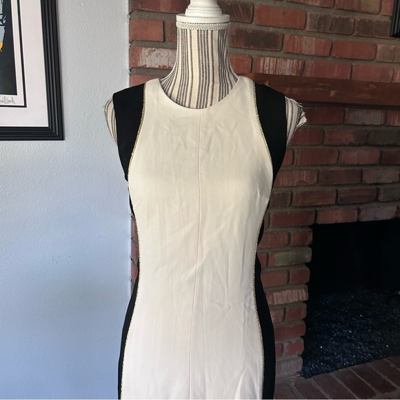 Rag & Bone Dupont Sleeveless Sheath Dress in Ivory/Black Sz 4 - Picture 3 of 10